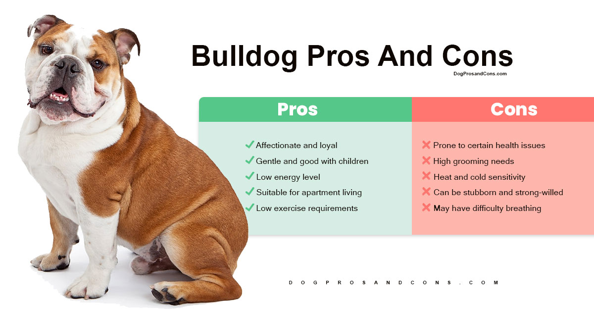 Bulldog Pros And Cons