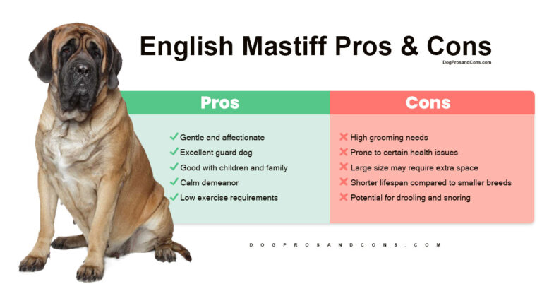 English-Mastiff-Pros-and-Cons