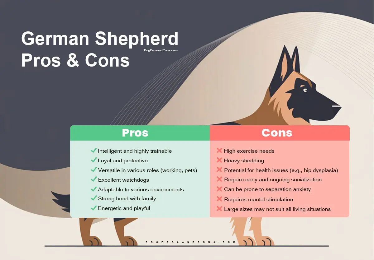 German Shepherd Pros and Cons 1 german shepherd pros and cons