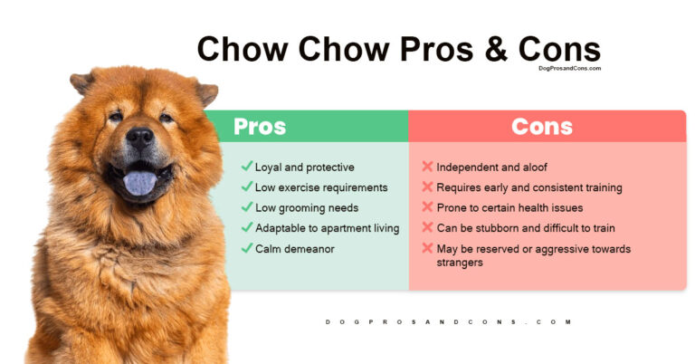 Chow Chow Pros and Cons
