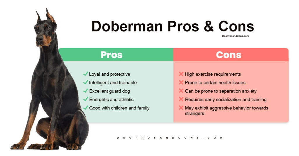 doberman-pros-and-cons